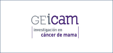 logo-fundacionGeicam
